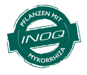 Mit INOQ-Mykorrhiza mykorrhiziert