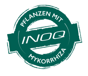 Mit INOQ-Mykorrhiza mykorrhiziert 